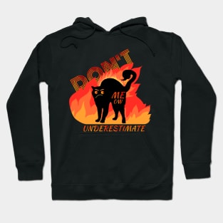 Angry Black Cat with Flames Design Hoodie